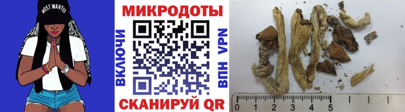 Галлюциногенные грибы GOLDEN TEACHER где продают наркотики Высоковск